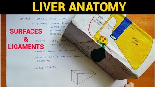 Liver Anatomy 14  Surfaces amp Ligaments of Liver  EOMS [upl. by Aziram399]