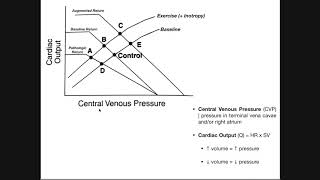 Cardiac amp Vascular Function Curves EXPLAINED [upl. by Treblig]