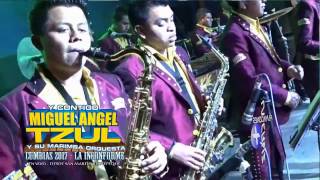 MIGUEL ANGEL TZUL CUMBIAS 2017 [upl. by Sivad]