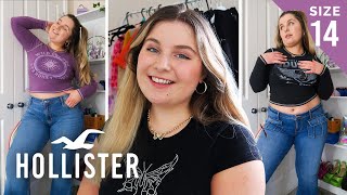 MIDSIZE HOLLISTER JEANS TRY ON  Trying Hollister Denim on a Size 1416 [upl. by Standice]