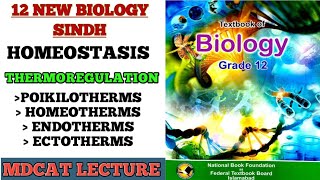 THERMOREGULATION  CLASSIFICATION OF ANIMALS ON THE BASIS OF THERMOREGULATION  12 NEW SINDH BIO [upl. by Olds]