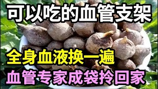 一个可以吃的“血管支架”，早上喝一杯，全身血液都换一遍，怪不得血管专家成袋往家提【本草养生大智慧】 [upl. by Hali]