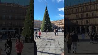 Plaza mayor christmas travel salamanca humor art talamanca comedy [upl. by Sane636]