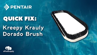 Pentair Kreepy Krauly Dorado Brush  Quick Fix [upl. by Alil825]