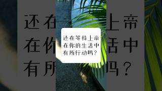 静心祷告🙏 经文 教会 温哥华 基督徒 溫哥華 聖經 教會 church christian [upl. by Elysee]