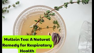 Unveiling the Magic of Mullein Tea Benefits and Side Effects  How to Make Mullein Leaf Tea [upl. by Occor895]