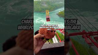 Charlie the Beaver Rides the Whirlpool Aero Car at Niagara Falls Canada 🇨🇦 [upl. by Nicky]