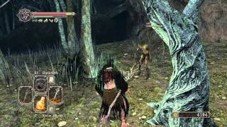 Dark Souls 2 Walkthrough  Everything possible in Huntsmans Copse 1 [upl. by Anelak]