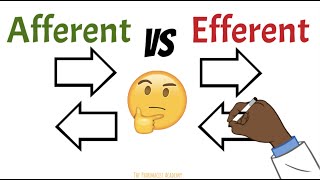 Afferent vs Efferent Neurons Kidneys Lymph nodes [upl. by Yrffoeg848]