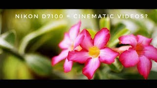 Nikon D7100 Cinematic Test [upl. by Tuchman959]