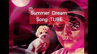 Semer Dream artist TUBE 우리 나라도 시즌인더선 이란 노래 리메크 했던 가수 팝콘티비 기장행님 JPOP 일본노래 thank you 2467 [upl. by Matthews]