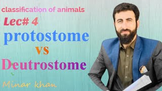 protostome vs deutrostome Pashto lecture [upl. by Aivatnahs674]