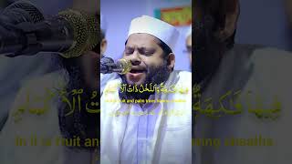 Captivating Recitation of Surah Rahmans Verses by Qari seaad ul Islam [upl. by Hauhsoj]