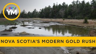 Nova Scotia in the midst of modern gold rush  Your Morning [upl. by Grobe]