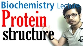 Protein structure  primary secondary tertiary and quaternary structure of protein [upl. by Holman656]