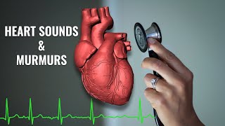 Heart Sounds and Heart Murmurs  3 easy steps on how to identify a heart murmur  Christina NP [upl. by Ahsitam]