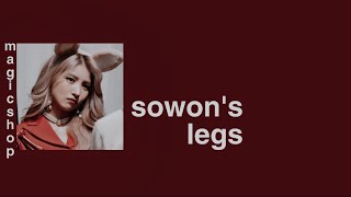 get sowon’s legs subliminal puzzle moon version [upl. by Dotty85]