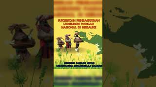 Harapan Menciptakan Swasembada Pangan dari Lumbung Pangan Merauke SwasembadaPangan [upl. by Gay]