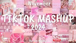 Tiktok Mashup November 🌺🌺2024🌺🌺 Not Clean [upl. by Assirac]