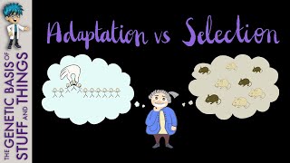 Adaptation vs selection What YOU need to know about exaptation [upl. by Eatnhoj]