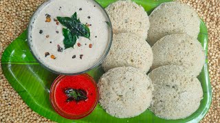 How to make జోన్నా ఇడ్లీ jonna idli recipe in telugujonna idli జోన్నా ఇడ్లీ [upl. by Oirasan226]