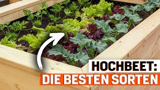 Hochbeet bepflanzen Das sind die 7 besten Gemüsesorten [upl. by Ailongam]