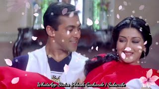 ❤️Salman Khan ❤️Romantic WhatsApp Status Video💓 Viishal Buddy TV [upl. by Salkcin229]