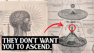 How to Know if Youre Ascending to The 5th Dimension  7 Signs You’re Shifting [upl. by Pelag]