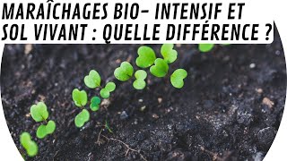 🚜 Maraîchage biointensif et maraîchage sol vivant MSV  quelles différences [upl. by Eidarb584]