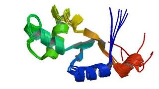 Biochemistry Lecture Facts  Cythochrome C 🧪🦠🧫 chemistry biology biochemistry facts [upl. by Anivle]