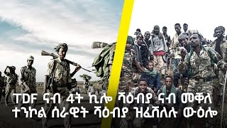 TDF ናብ 4ት ኪሎ ሻዕብያ ናብ መቐለ ተንኮል ሰራዊት ሻዕብያ ዝፈሸለሉ ውዕሎ [upl. by Sophie115]