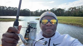 BIG BASS from the Pedal Boat in the Backyard Pond [upl. by Romelda349]