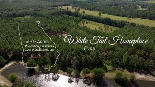 White Tail Homeplace  51± Acres amp Home in Evans County GA [upl. by Esylla502]