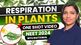 Respiration in Plants Class 11 one shot NCERT  All Concept amp PYQS  Ritu Rattewal  NEET Biology [upl. by Laikeze731]