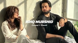 Tera Mera hai pyar amar  ishq murshid  Slowed and reverb song [upl. by Dill]