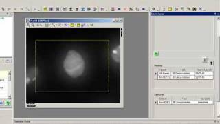 AutoQuant deconvolution Batch Processing Tutorial [upl. by Retsev]