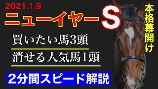 【2021ニューイヤーステークス】2分間スピード解説買いたい馬3頭と消せる人気馬1頭競馬予想 [upl. by Aynnat]