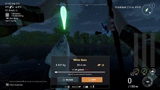 Fishing Planet 28 SaintCroix Lake  Michigan [upl. by Jessika987]