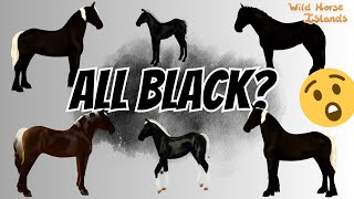 BREEDING EVERY BREED BLACK WILD HORSE ISLANDS ROBLOX [upl. by Macswan]