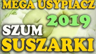 Usypiacz Niemowlaka Niemowląt 3 godziny Szum Suszarki Nowość 2019 Biały Szum [upl. by Ahsinam]