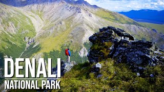 Denali National Park and Preserve [upl. by Dryfoos493]