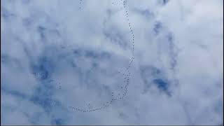 Autumn migration at Kiplingcotes nature reserve [upl. by Odo]