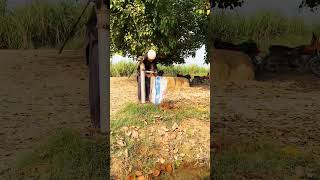 Glass Chor india islamicvideo viralvideo trendingshorts shorts [upl. by Skvorak]