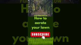 How to aerate your lawn lawncare lawncare101 lawncarelifestyle [upl. by Elkraps509]