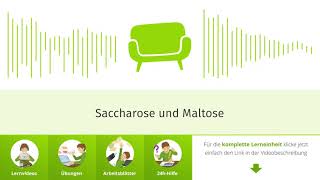 Saccharose und Maltose einfach erklärt  sofatutor [upl. by Aimo]