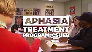 CSHA 2017 Program of the Year Aphasia Treatment Program [upl. by Yeca]