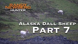 2018 Alaska Dall Sheep with Randy Newberg Part 7 of 9 [upl. by Koloski]