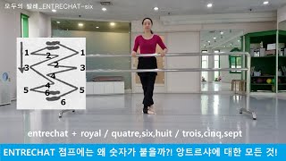 발레용어사전30 entrechat 앙트르샤 점프 로얄 앙트르샤 꺄트르 etc [upl. by Egor]