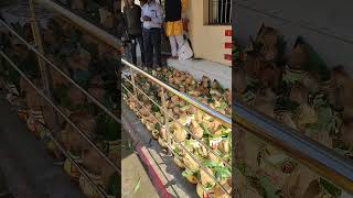 Ram ji temple kalash yatra viral ytshorts 2024 real 1 [upl. by Livvyy]