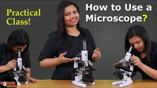 Microscope Parts and Functions  How to Use a Microscope [upl. by Arundel]